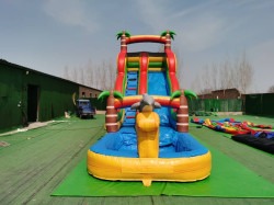 4d507e55 5158 4fb8 ade4 1534acfaa1ba 1747296115 Yellow dolphin water slide