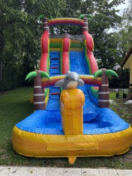 Yellow dolphin water slide