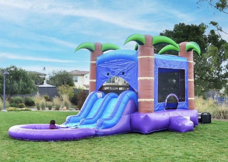 Wet and Dry Bounce House Combos