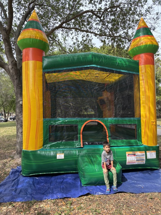 13 x 13 Amazon River