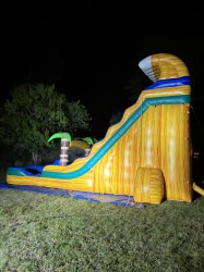 IMG 3779 1747816341 22 ft Yellow and Blue Jungle rush water slide