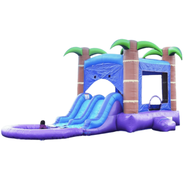 Bounce House With Slide Rentals Bounce House With Slide Rentals